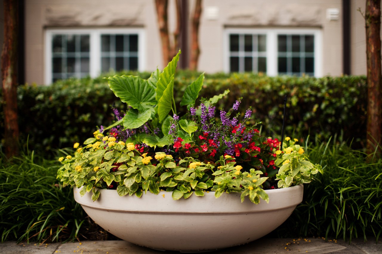 A white bowl filled with flowers on top of a table.