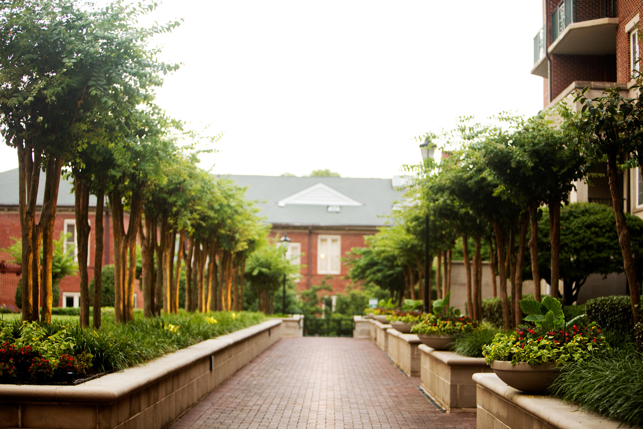 A brick walkway with trees and bushes in the middle of it.